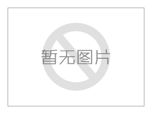 汪智文—副会长